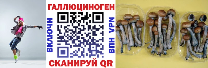 Псилоцибиновые грибы мухоморы  shop как зайти  Иннополис 